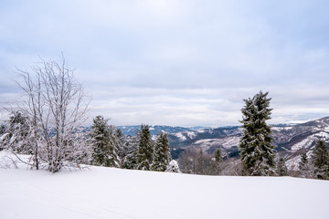 snowy Beskydy mountains in winter from Slovak side view direction Lysa hora, Slovakia Velka Raca
