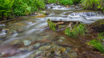 Teletskoie Lake, Altai, Russia