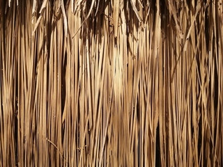 The pattern of the grass for roofing. Thatch roof background, hay or dry Blady grass background. - obrazy, fototapety, plakaty