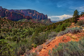 A scenic view of Sedona showing the red rocks and orange dirt contrasted with the greenery ad blue sky.