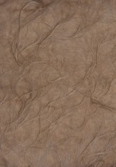 Texture of the old terrible wool. Dark beige background. Оld sheepskin