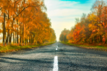 beautiful autumn road for travel