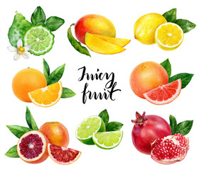 Watercolor juicy fruit set hand draw illustration.