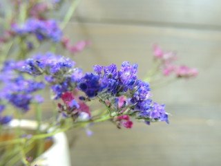 Obraz premium flowers on a blue background