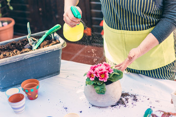 Woman spraying water on a plant to water it.