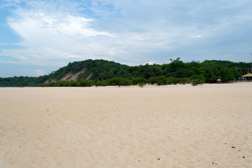 Tropical beach in the north of Brazil