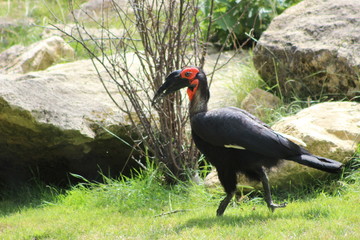 Wunderschöne Tiere aus dem Tierpark in Schönbrunn Wien