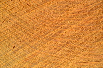 texture of wood