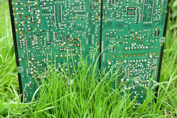 A bush of lush green grass grows against a background of a computer circuit board.