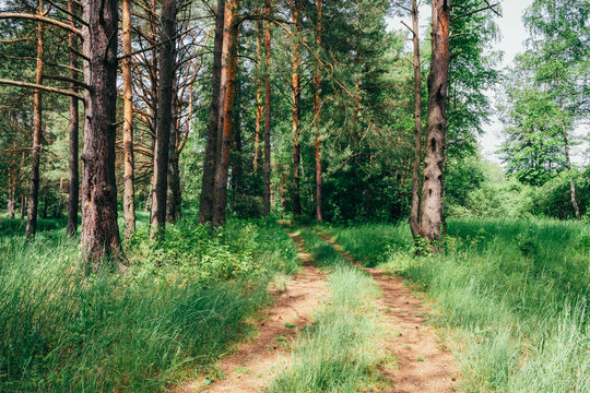 Podmoskovie Images – Browse 46 Stock Photos, Vectors, and Video | Adobe ...