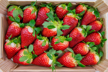 Fresh berries ripe strawberries in a basket close-up, Box, Container.