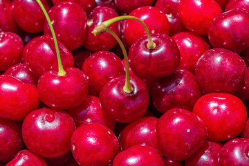 Cherry. Fresh ripe juicy organic berries, macro. Fruit background