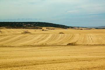 Paisaje agrícola de Burgos, España © Samuel Mederos
