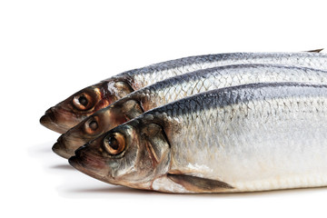 Set of fresh whole herring fish isolated on white