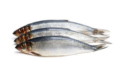 Set of fresh whole herring fish isolated on white