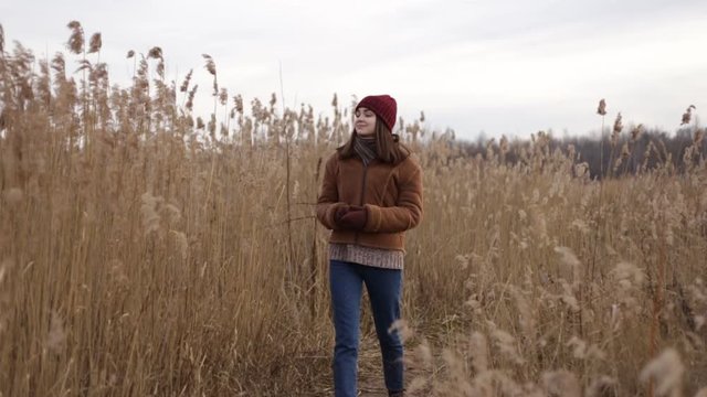 Young woman walking along path in field. Calm female strolling near lake and touching high grass while looking around in slow motion