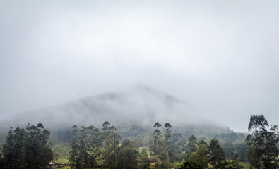 A cold winter day presents a mountain covered by fog with trees in the foreground.