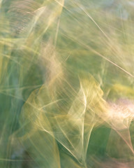 Abstract colorful background, lighting patterns in many different colors. Long shutter speed and movement, paint with light. Backdrops for montage, copy space, place for lettering.