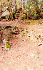 La Caldera on the island of Tenerife