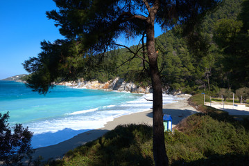  Skopelos island , the beach of Kastani Greece.