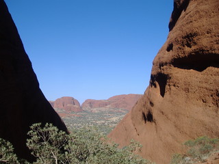 outback