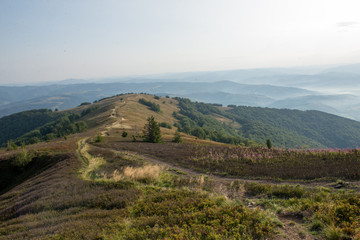 Fototapeta na wymiar Beautiful view in the Carpathian mountains
