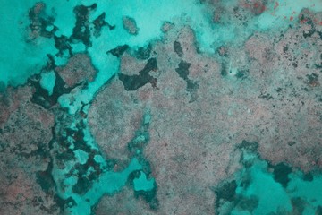 Fototapeta na wymiar Reef in the blue ocean in the Dominican Republic.