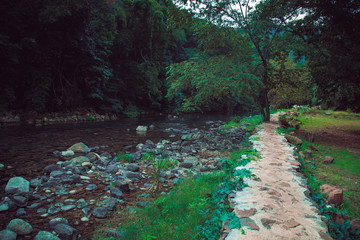 Forest river stones landscape,beautiful panoramic view of the river in Bridge of God and Waterfalls...
