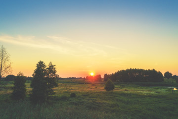 Rural landscape with the beautiful evening sky. Green meadow in summer