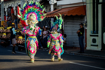 family in colorful carnival elephant costumes walk by city street at dominican parade