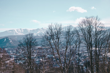 Fototapeta na wymiar Tatry in winter, shot make with Kasprowy, Zakopane