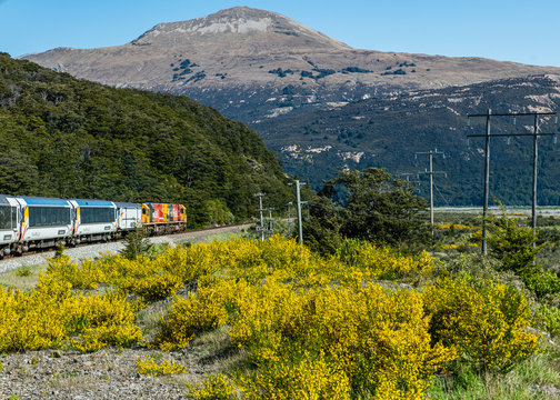 train ride with tranz alpine express in the mountains