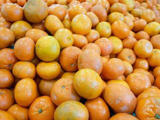 organic tangerine fruit in a market