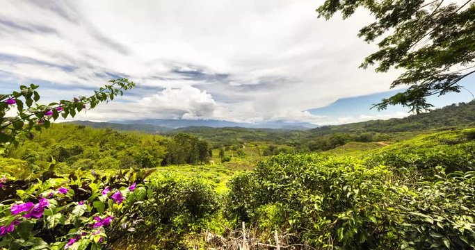 The beautiful landscape of the Borneo rainforest. Time lapse in the mountain around Mount kinabalu. The highest mountain in south east Asia. Near by the city of Kota Kinabalu, Sabah, East Malaysia.