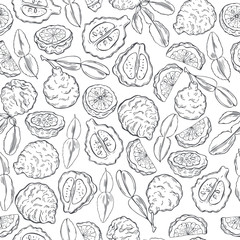 Hand drawn  kaffir lime (bergamot).   Vector  seamless pattern.