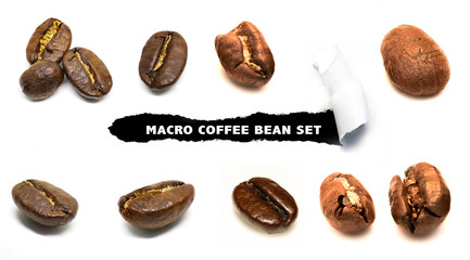 Coffee Bean Set