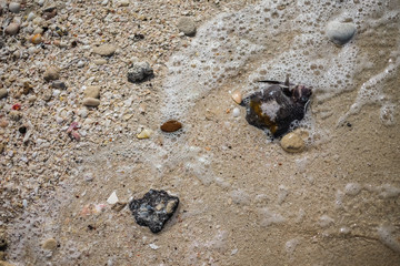 Garbage on the city beach. Pollution of the world's oceans with household waste, clothing and plastic. Territory of ecological disaster