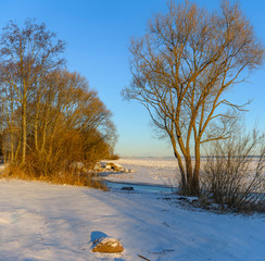 Sunny day February 29, 2020 on the shores of the Gulf of Finland.