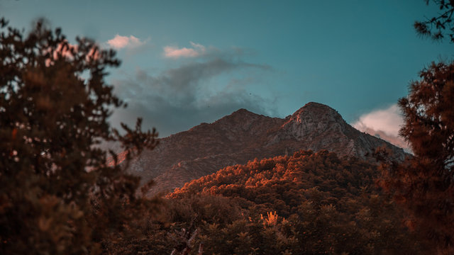 Mountain in the sunset.