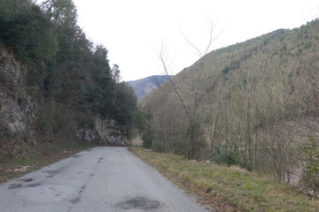 Strada bosco