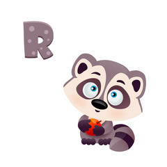cute vector raccoon with red apple in its paws with a surprised expression on its muzzle, isolated on white background, letter R of the English alphabet abc for kids, eps 10, print for t-shirt