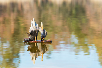 toy wooden boat in the lake. Boat made of bark and leaves