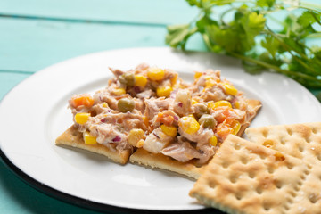 Tuna salad with mayonnaise on turquoise background