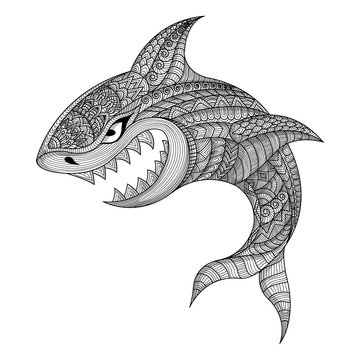 hand draw zentangle shark vector illustration