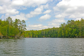 North Woods Lake on a Sunny Day