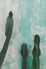 Wandcirkels aluminium Detail of cactus in aqua menthe tones © juanorihuela