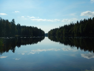 Fototapeta premium reflection of trees in lake