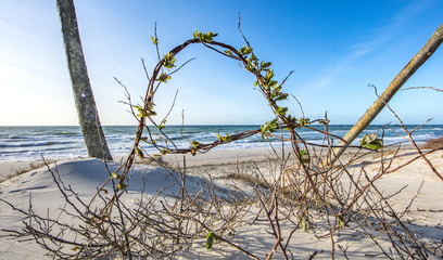 Fototapeta premium küste