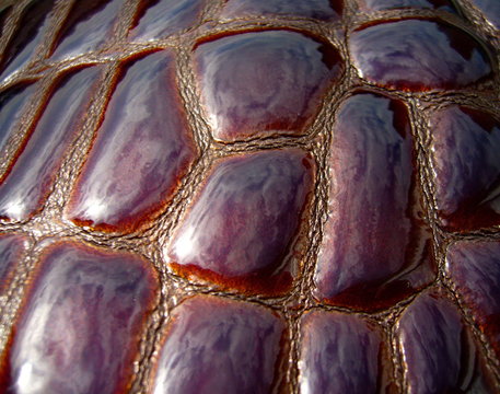 The texture of genuine haberdashery leather. Leather background.