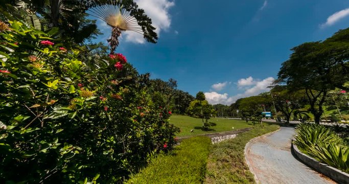 City park ground in the city of Kuala Lumpur, Malaysia. Colorful motion control time lapse of the city park at Kuala Lumpur. Moving white clouds on a blue sky